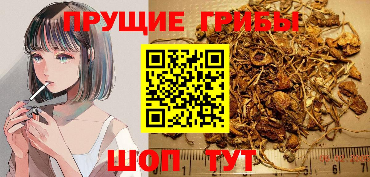 Псилоцибиновые грибы Psilocybe  Вход с VPN  Псилоцибиновые грибы мухоморы  Волжский 